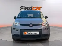 Usado Fiat Panda 71 CV (52 kW) 2023 Gris Utilitario