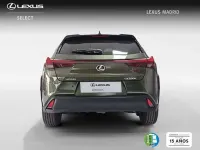 Usado Lexus UX 250h 184 CV (135 kW) 2024 Verde SUV