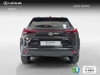 Usado Lexus UX 198 CV (145 kW) 2026 Negro SUV