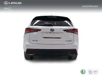 Usado Lexus NX300h Sport Line 197 CV (144 kW) 2020 Blanco SUV