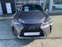 Usado Lexus UX 250h Business Edition 184 CV (135 kW) 2022 Gris SUV