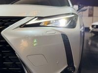 Usado Lexus UX 184 CV (135 kW) 2022 Blanco SUV
