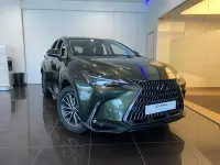 Nuevo Lexus NX350h 240 CV (176 kW) 2026 Verde