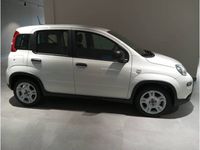 usado Fiat Panda PANDA -Hybrid 1.0 51kw (70CV)