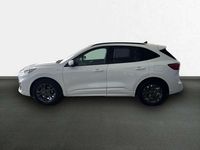 Usado Ford Kuga ST-Line X 150 CV (110 kW) 2022 Blanco SUV