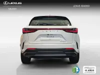 Usado Lexus NX350h Business Edition 242 CV (177 kW) 2023 Blanco