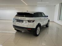Usado Land Rover Range Rover evoque Pure 150 CV (110 kW) 2014 Blanco SUV