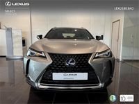 Usado Lexus UX 300e Business Edition 150 kW (204 CV) 2021 Otro SUV