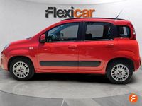 Usado Fiat Panda Cross Cross 69 CV (50 kW) 2018 Rojo Utilitario