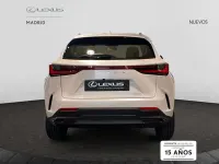 Nuevo Lexus NX350h 242 CV (177 kW) 2025 Blanco SUV