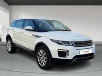 Usado Land Rover Range Rover evoque 150 CV (110 kW) 2016 Blanco