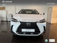 Usado Lexus NX350h 197 CV (144 kW) 2025 Blanco SUV