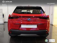 usado Lexus UX 250h Executive 2WD