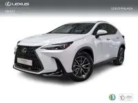 Nuevo Lexus NX450h+ 292 CV (214 kW) 2026 Blanco SUV