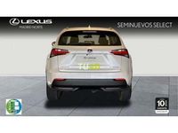 usado Lexus NX300h business navigation 2wd 145 kw (197 cv)