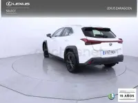 Usado Lexus UX Business Edition 184 CV (135 kW) 2023 Blanco SUV