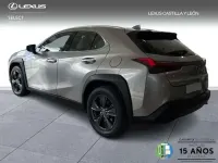 Usado Lexus UX 250h Business Edition 184 CV (135 kW) 2022 Gris SUV