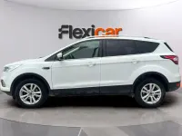 Usado Ford Kuga Trend 120 CV (88 kW) 2019 Blanco SUV