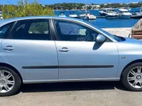 Usado Seat Ibiza 75 CV (55 kW) 2003 Gris Utilitario