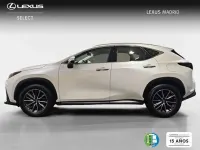 Usado Lexus NX300h Business Edition 242 CV (177 kW) 2022 Blanco SUV