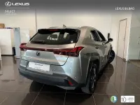 Usado Lexus UX 199 CV (146 kW) 2026 Gris / plata SUV