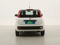 Usado Fiat Panda Easy 69 CV (50 kW) 2019 Utilitario