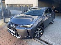 usado Lexus UX 300e Luxury