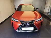 Usado Lexus UX Business Edition 184 CV (135 kW) 2022 Naranja SUV
