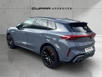 Usado Cupra Terramar VZ 265 CV (194 kW) 2024 Otro SUV