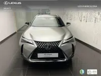 Usado Lexus UX 250h Business Edition 184 CV (135 kW) 2022 Otro SUV