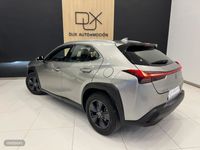 usado Lexus UX 250 h Bussines 184 CV