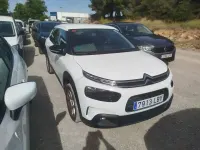 Usado Citroën C4 Cactus Feel 99 CV (72 kW) 2019 Blanco Utilitario