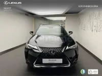 Usado Lexus UX Business Edition 184 CV (135 kW) 2022 Negro SUV