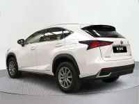Usado Lexus NX300h Business Edition 197 CV (144 kW) 2020 SUV