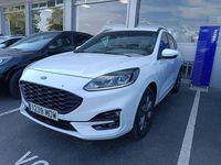 Usado Ford Kuga ST-Line 225 CV (165 kW) 2023 Blanco SUV