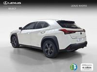 Usado Lexus UX 250h Business Edition 185 CV (136 kW) 2020 Blanco SUV
