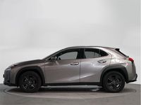 Usado Lexus UX Business Edition 184 CV (135 kW) 2021 Titanium SUV