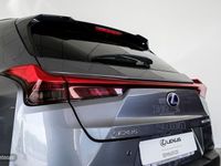 Usado Lexus UX 250h Sport Line 184 CV (135 kW) 2019 Varios colores SUV
