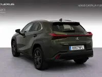 Usado Lexus UX 300h 199 CV (146 kW) 2025 Verde SUV