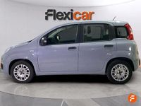 Usado Fiat Panda 70 CV (51 kW) 2022 Gris Berlina