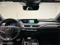 Usado Lexus UX Sport Line 184 CV (135 kW) 2019 Otro SUV