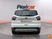 Usado Ford Kuga Trend 120 CV (88 kW) 2019 Blanco SUV