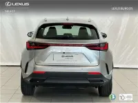 Usado Lexus NX450h+ 306 CV (225 kW) 2025 Gris SUV