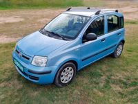 Usado Fiat Panda Dynamic 69 CV (50 kW) 2011 Azul Berlina