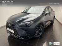 Usado Lexus NX350h Business Edition 242 CV (177 kW) 2022 Gris / plata SUV