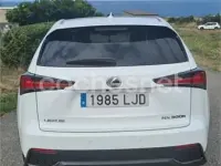 Usado Lexus NX300h Sport Line 197 CV (144 kW) 2020 Blanco SUV