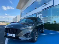 Usado Ford Kuga ST-Line 226 CV (166 kW) 2023 Gris SUV