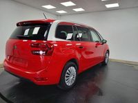 Usado Citroën C4 Business Class 131 CV (96 kW) 2019 Rojo Monovolumen