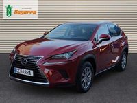 Usado Lexus NX300h Business Edition 197 CV (144 kW) 2021 Burdeos SUV