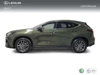 Usado Lexus NX350h Executive Line 242 CV (177 kW) 2023 Verde SUV